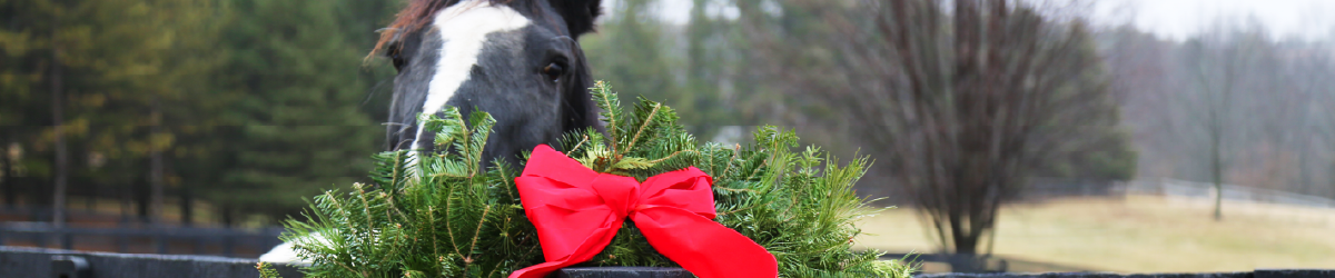 Gifts for horse and rider Gifts for horse and rider