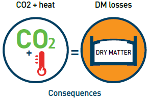 Consequences of aerobic spoilage