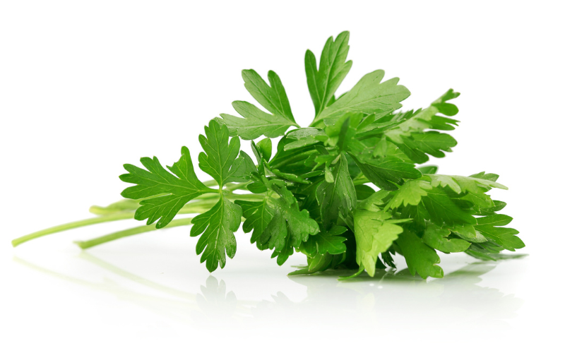 Parsley & Chicken Parsley & Chicken