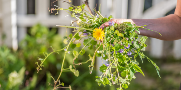 Weeding your garden