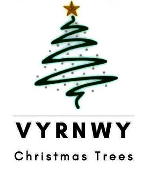 Vyrnwy Christmas Trees