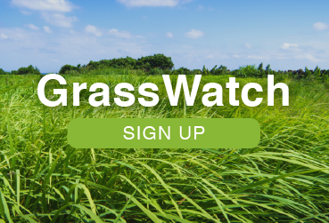 GrassWatch