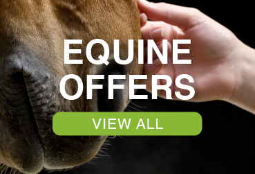 Equine Offers
