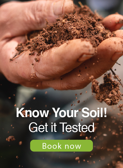 Soil Sampling