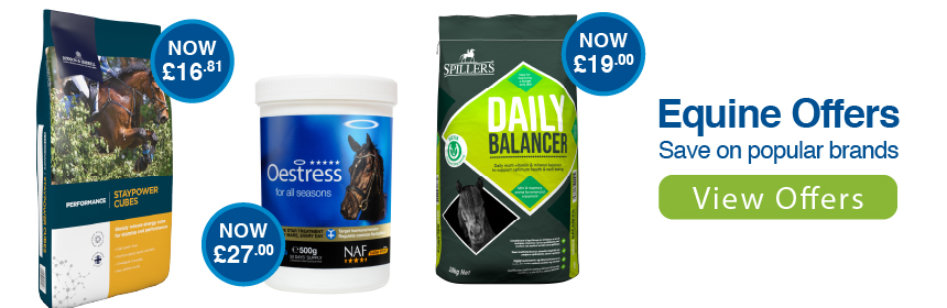 Feb Equine Offers