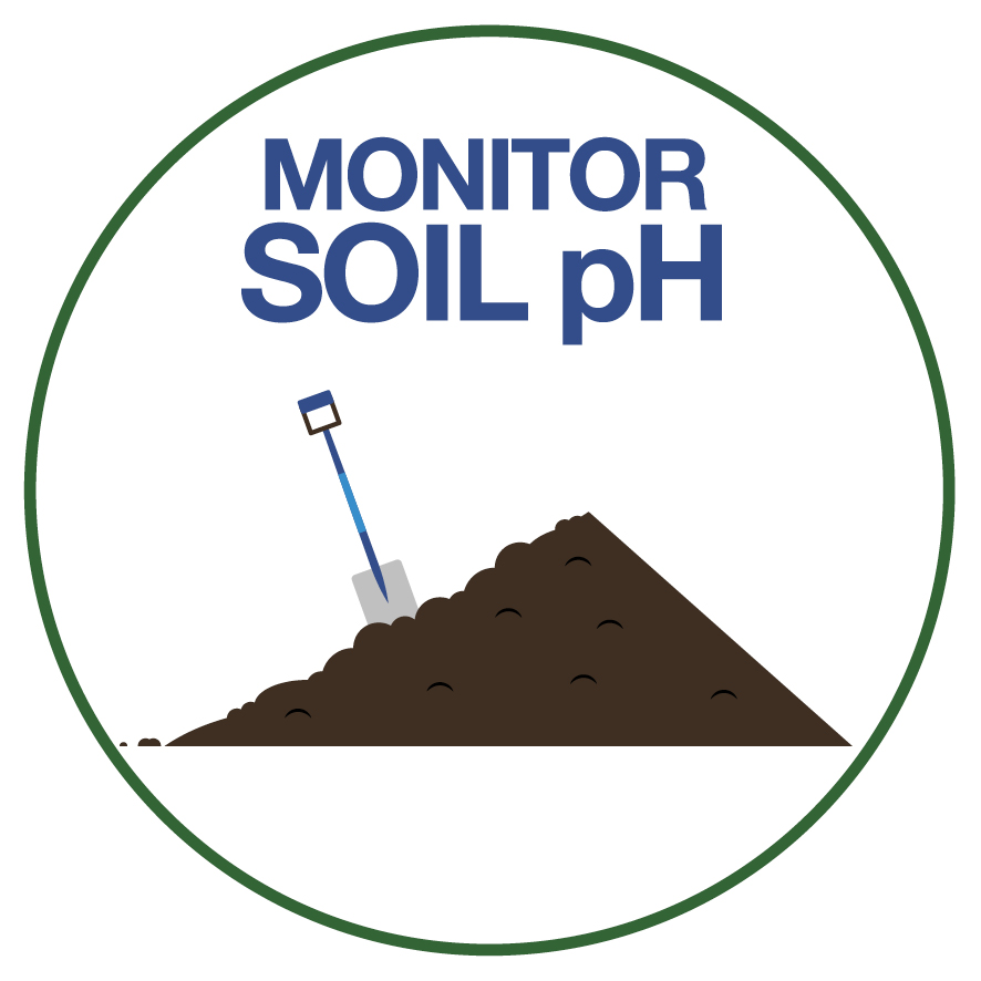 Soil testing